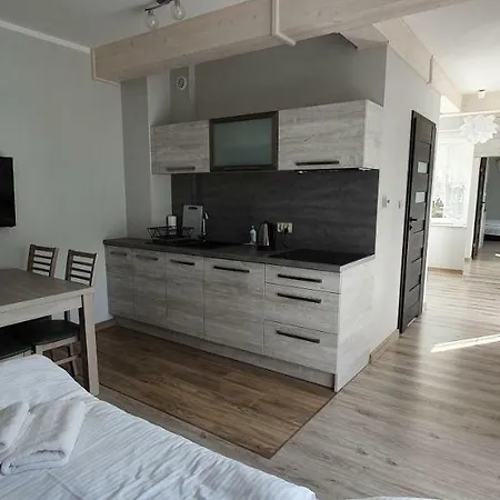 Pod Czyrna Apartamento *